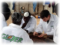 Fermentation and Inspection of Beans