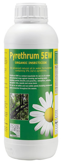 Pyrethrum 5EW